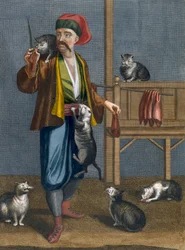 Kattenvoeder, plaat uit 